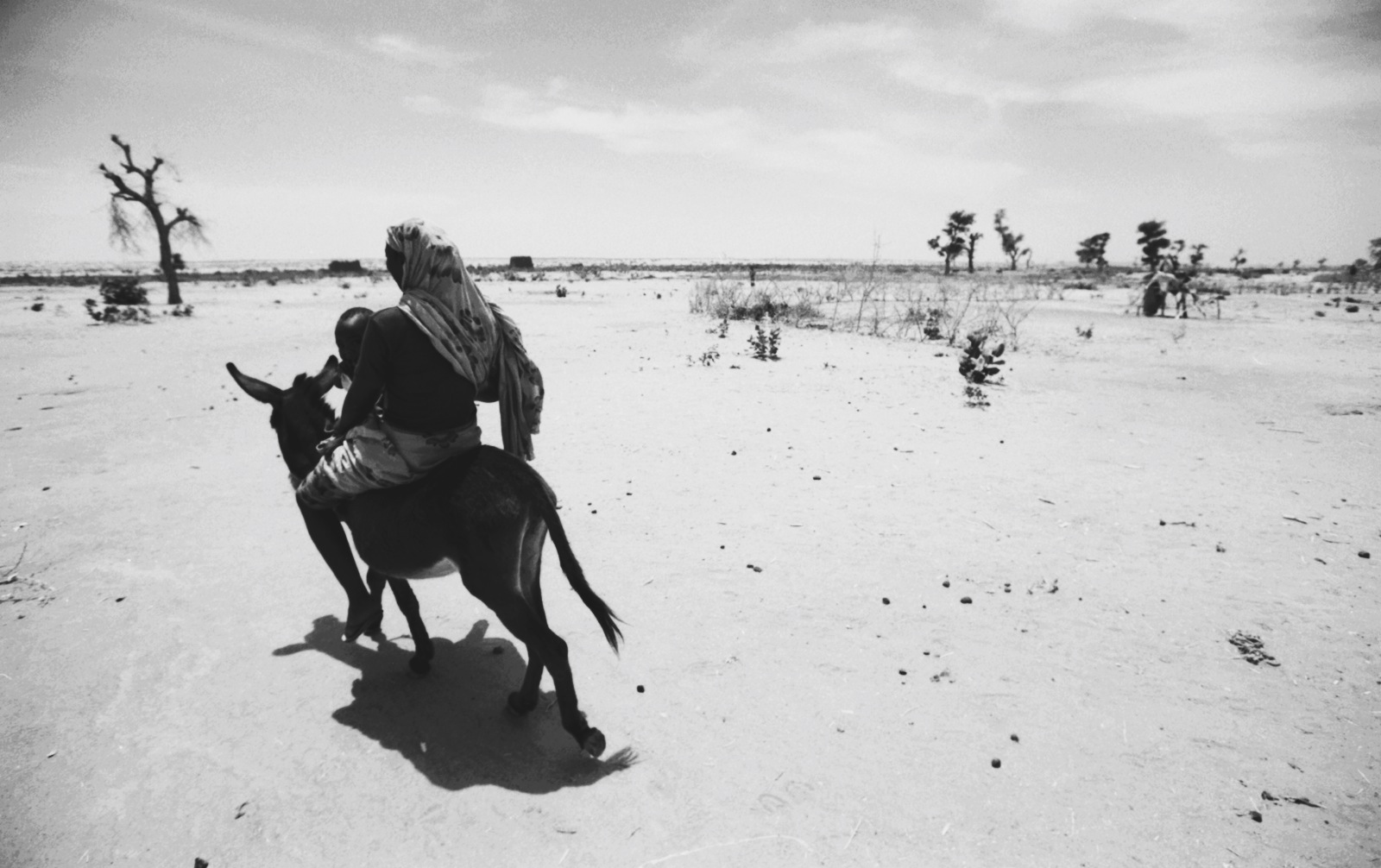 Mother and child ride a donkey in Darfur, Sudan.