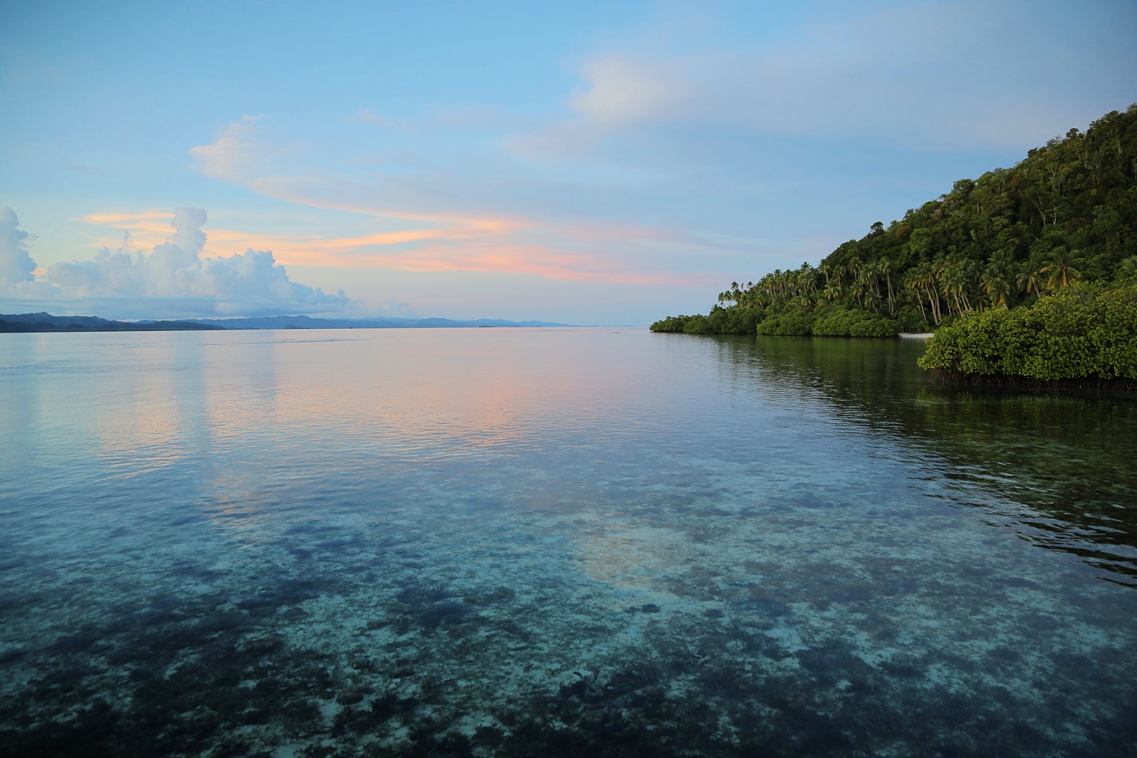 Clear waters of Raja Ampat, Indonesia.