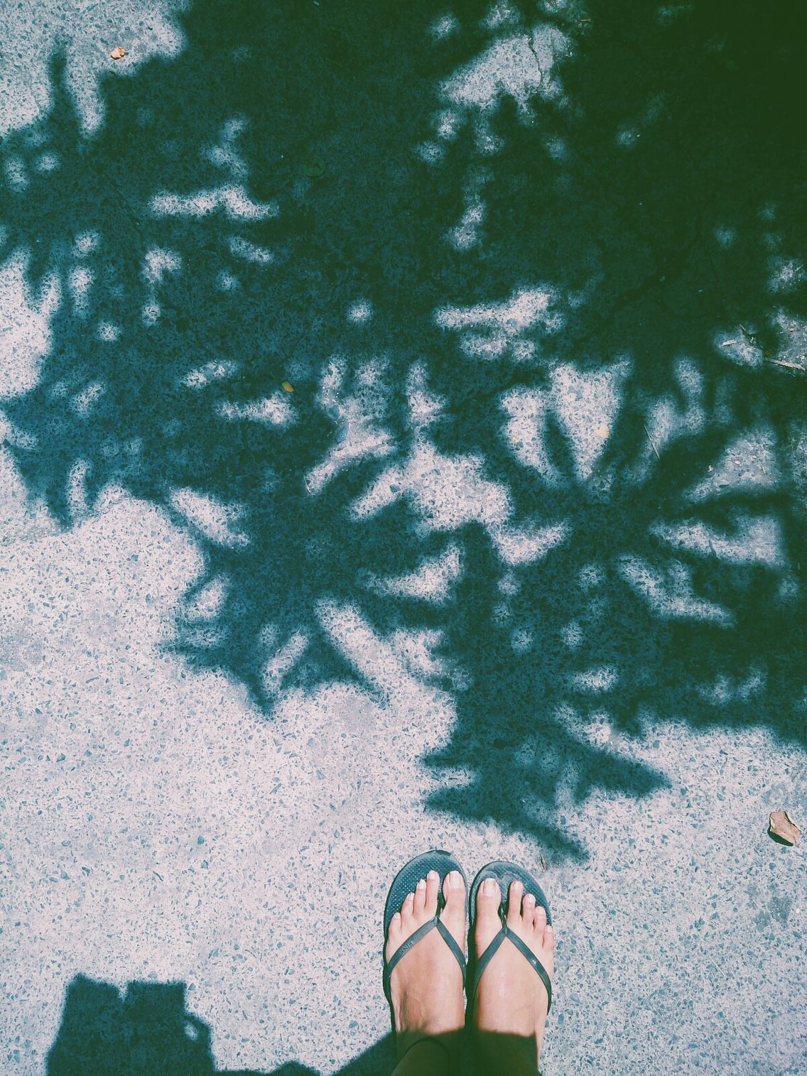 Summer Snowflakes Patterns At My Feet Vscocam Green