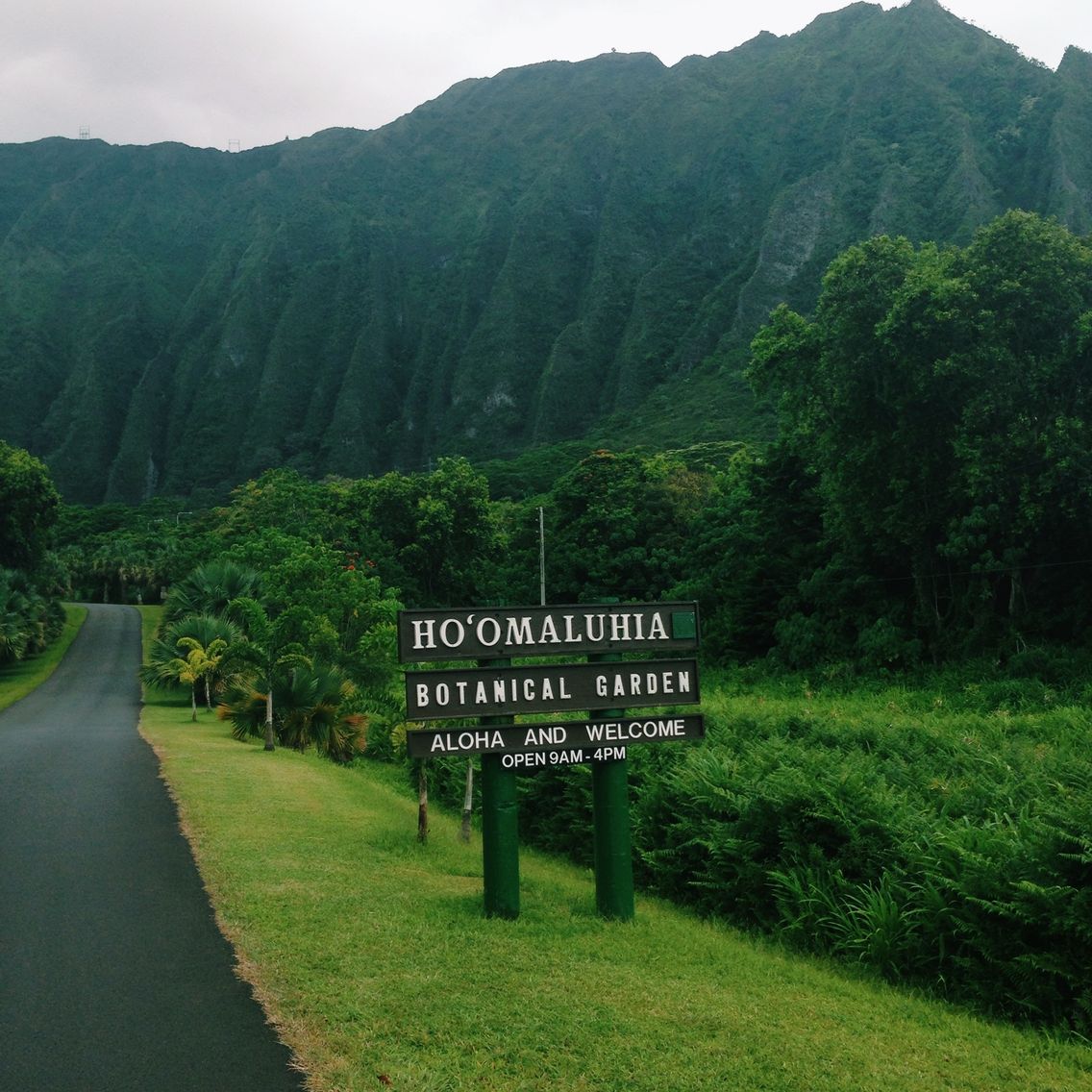 Ho Omaluhia Botanical Garden Oahu Hawaii Jmel0n Vsco