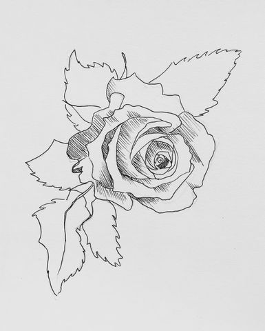 Featured image of post Rose Flower Sketch Easy You don t go too much into details but at least the sketch should picture and give you or your visitor a clear idea what the