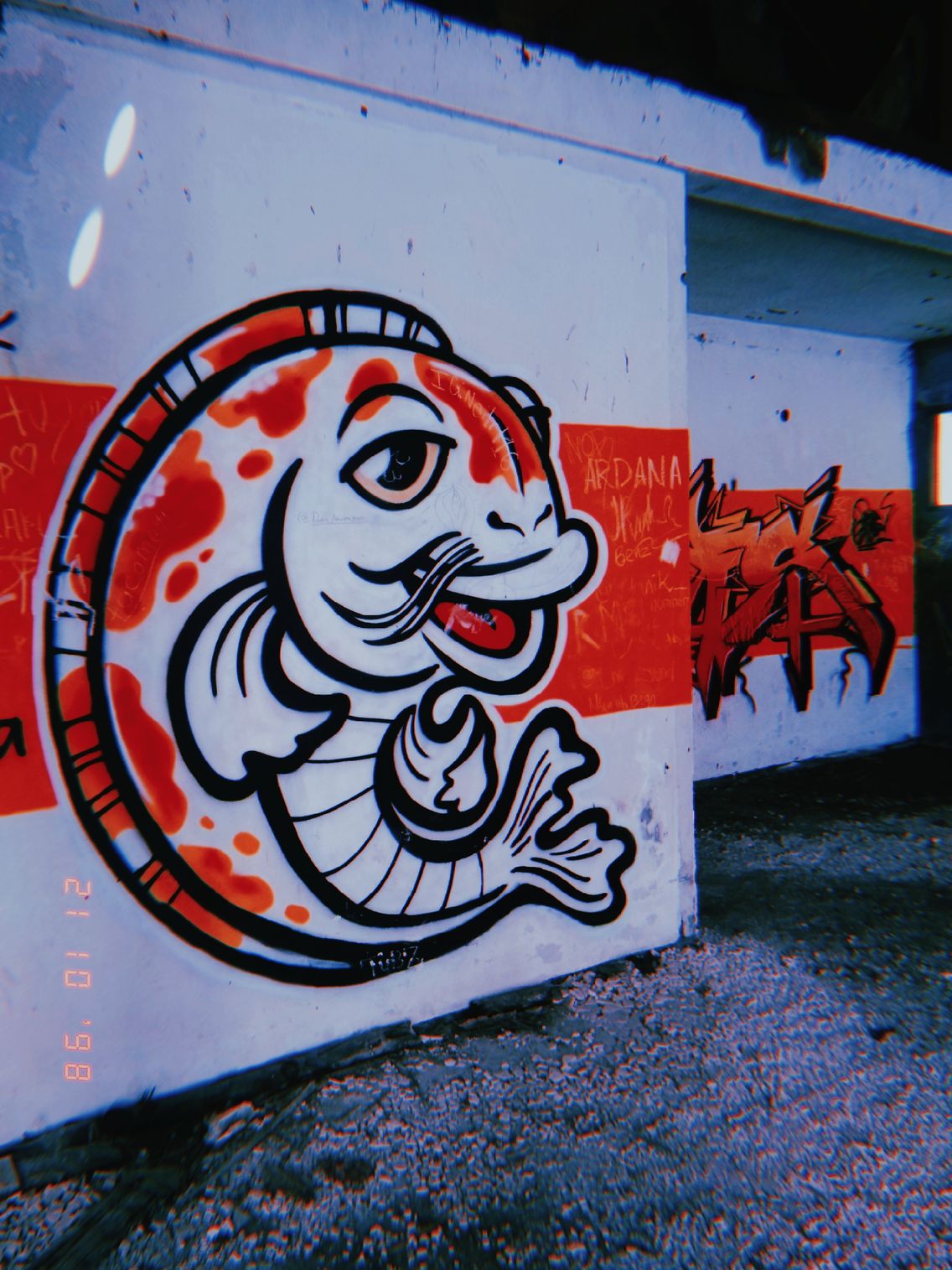 Fish Mural Wall Photography Photo Aesthetic Vsco Sekaal Vsco