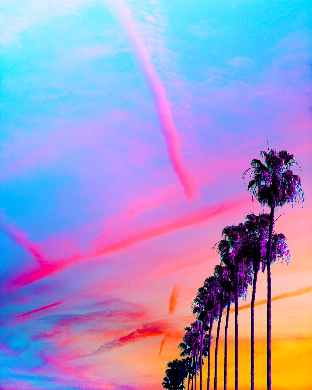 Palmtrees Sunset Losangeles California Beach Nature Colorful