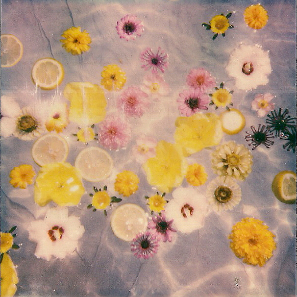 Vintage Summer Polaroid Vintagesummer Water Sun Flower